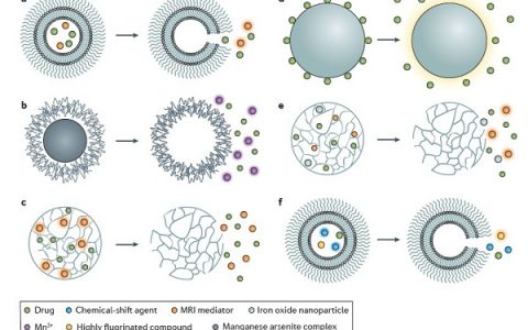 陈小元Nature子刊最新综述:反思癌症纳米诊疗技术