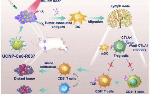 ACS Nano: 近红外光激发PDT与检查点阻断结合用于结肠直肠癌的免疫疗法