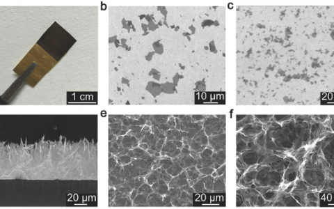 清华石高全Adv. Energy Mater.:用于交电流线路滤波器的石墨烯基有机电化学电容器