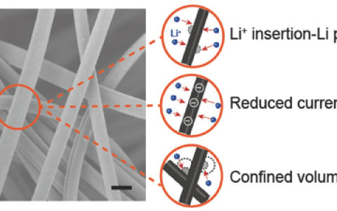 Adv. Mater. :石墨化碳纤维作为3D多功能集流体应用于高面积比容锂金属负极
