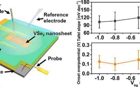 武汉理工大学Nano Lett.:场效应调控VSe2纳米片吸附动力学实现HER高效催化