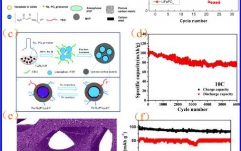 中科大余彦团队 高性能锂(钠)电池材料研究进展