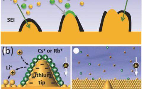 翟天佑&李会巧Adv. Mater.综述:下一代高能电池:锂金属电池的复兴!