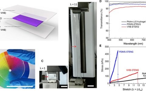 中科院纳米能源所王中林&胡卫国:透明可拉伸的仿皮肤式摩擦纳米发电机研制成功