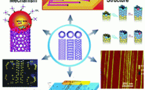清华大学魏飞Chem. Soc. Rev.综述:水平阵列状碳纳米管的生长机理、可控合成、表征、性质和应用