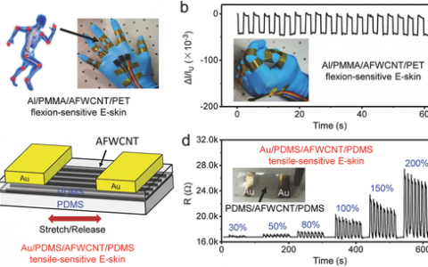 Adv. Funct. Mater.:人机交互新方式-定向分布碳纳米管构成的多功能可穿戴电子皮肤