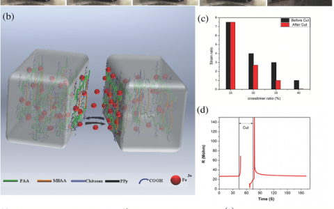 Adv.Mater.:具有压敏性、可延展性和可3D打印的仿生多功能导电自修复水凝胶