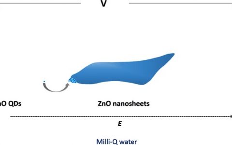 Chem. Mater. & Adv Mater. 一杯水中的纳米世界:低维半导体的绿色合成研究