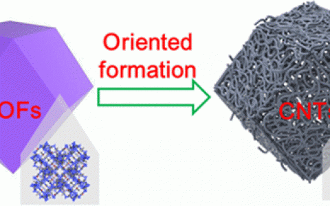 JACS:金属有机骨架基碳纳米管的定向形成