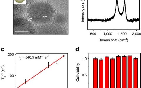 Nat. Commun.: 磁性石墨纳米胶囊用于幽门螺旋杆菌的原位靶向磁共振检测