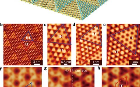 Nature Materials:用于选择性吸附分子和纳米团簇的本质图案二维材料