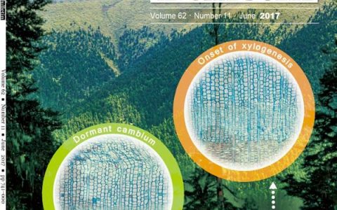 Science Bulletin更名后首个影响因子达到4.0, 跨入国际综合类期刊Q1区!