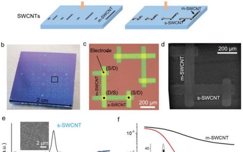 成会明院士&刘畅研究员Adv. Mater.:无金属半导体性和金属性单壁碳纳米管的选择性生长