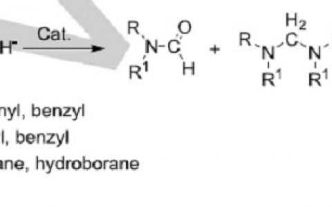 南开大学化学学院何良年教授课题组:二氧化碳“变废为宝”在学界首次实现分级可控还原