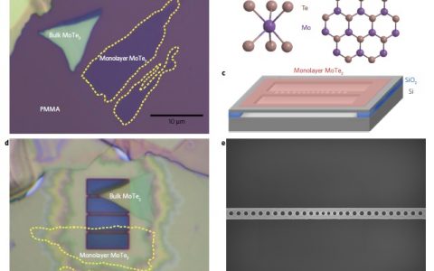 清华大学Nat. Nanotech.:基于单层MoTe2的纳米激光器,首次实现室温下连续波激射!