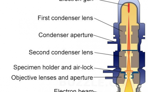 透射电镜下看到的原子像的物理意义是什么?