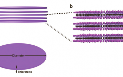 张华AM最新综述:层状结构纳米盘的制备、组装、转化和应用的最新进展