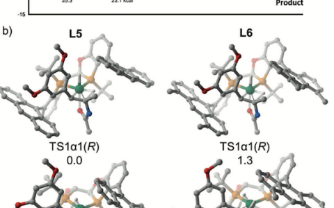 Angew. Chem. Int. Ed.:铑催化不对称氢化过程中对映选择性的自动量子力学预测