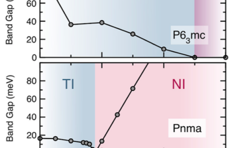 Phys. Rev. Lett.:AMgBi正交晶系化合物(A = Li,Na,K)中的反铁电性拓扑绝缘体