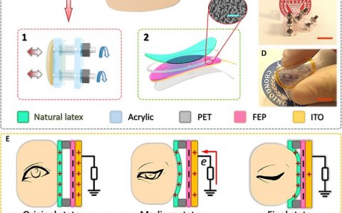 Science Advances: 摩擦纳米发电技术开创新型感官控制的人机交互