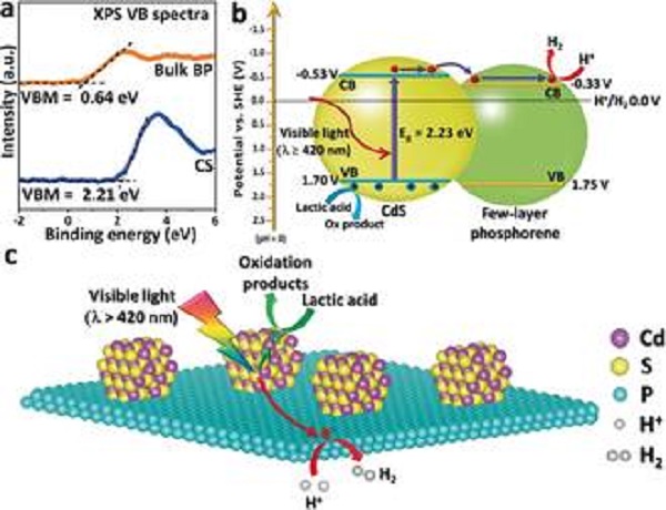Angew. Chem. Int. Ed:磷烯助催化剂助推可见光光催化产氢效率