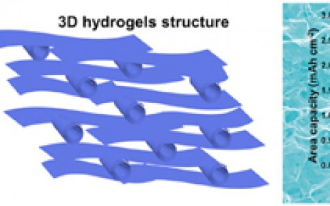武汉理工麦立强Nano Energy:基于三维钒氧化物水凝胶的高质量负载的高倍率储锂材料