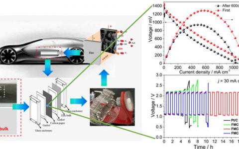 Sci. Bull.乔锦丽教授课题组金属空气电池最新进展: 特殊形貌的三维蛤形双功能阴极催化剂在高性能锌空电池中的应用