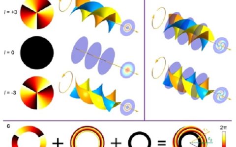 中国科大:在涡旋光加工手性结构领域取得新进展