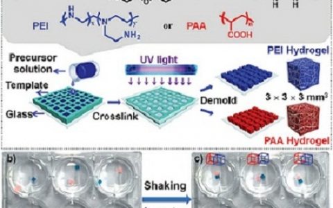 Adv. Mater.:自纠错策略实现精准、大规模、平行的宏观超分子组装