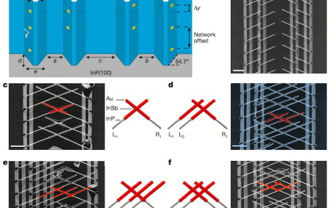 Nature:将分子束外延应用于设计纳米线量子器件