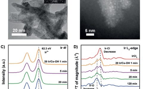 Angew. Chem. Int. Ed.:强金属载体相互作用铱/氧化铈催化剂调节二氧化碳加氢反应选择性