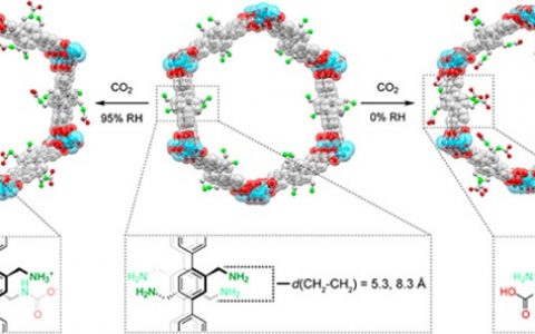 Omar M. Yaghi 教授 JACS:不同湿度下氨基化MOFs捕捉CO2的机理探究