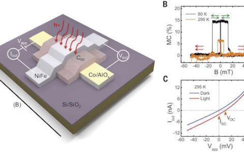 Science:分子自旋光伏器件