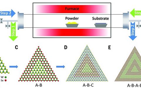段镶锋再发Science: 2D异质结、多异质结以及超晶格的可控外延生长!