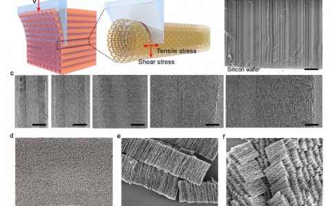 复旦&上交大ACS Nano: 碳纳米管在剪切过程中的晶格形变