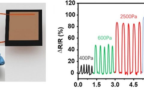清华大学ACS Nano:石墨烯纸基压力传感器