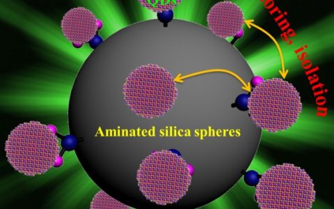 李晓明&曾海波Adv. Mater.:用表面钉扎效应提升全无机钙钛矿量子点在强光照射下的光泵激光稳定性