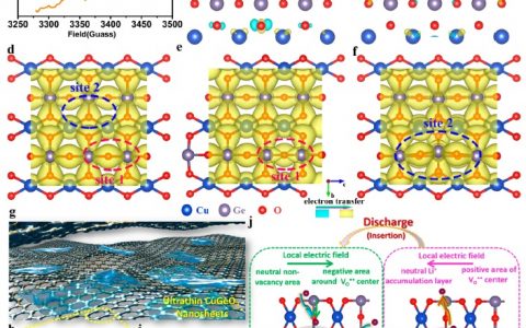 谢毅院士ACS Nano:局域电场助力高性能锂离子电池