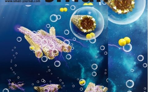 江南大学杜明亮教授Small内封面:基于纳米纤维反应器来设计和调控双相CoMn2O4中空管状多级结构用于高效析氧反应