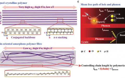 清华大学Adv. Funct. Mater.:聚合物热电材料热输运性质调控的理论研究