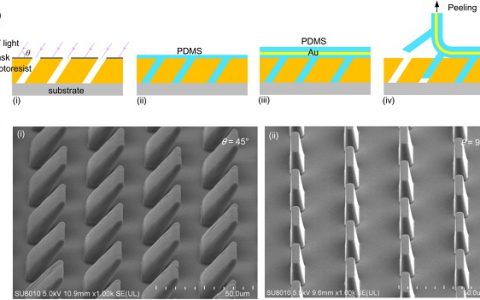 西安交通大学Nano Energy:可弯曲、可滑移的鱼鳞状微结构提高摩擦起电效应