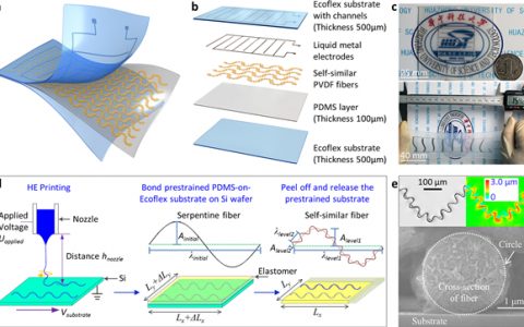 华中HTH官网地址
大学黄永安Nano Energy:基于自相似微纳米纤维的超延展压电传感器