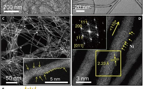 清华大学Science Advances:超细Pt-Mo-Ni纳米线催化剂用于乙醇电氧化