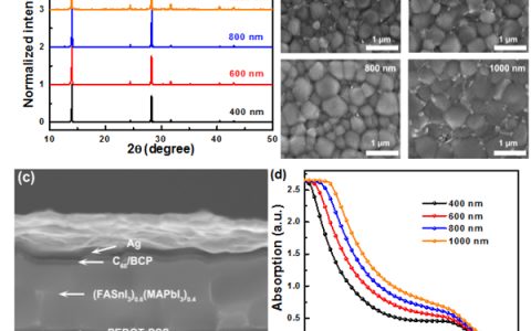 Adv. Funct. Mater.:基于窄带隙钙钛矿的宽响应光电探测器