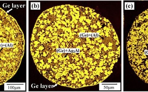 魏炳波院士Acta Mater:微重力条件下AlAgGe合金的凝固