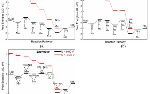 JACS:高性能单原子钼催化剂用于氮还原合成氨