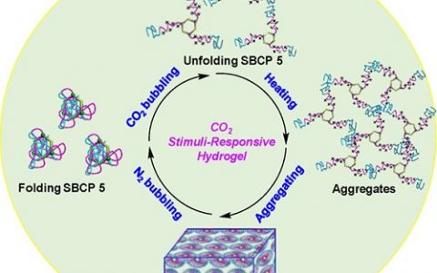 J. Am. Chem. Soc.:通过离散的有机二价铂金属杂环使CO2刺激响应的可注射嵌段共聚物水凝胶发生交联