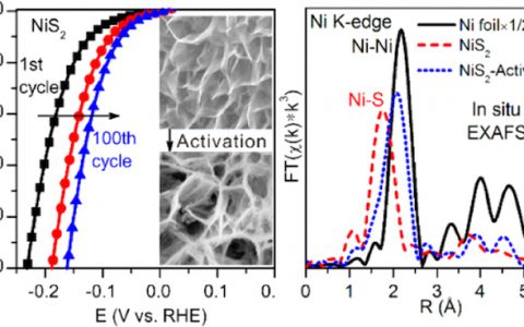 郑南峰&傅钢&陈浩铭Nano Energy:原位表征技术揭示NiS2电催化析氢的活性位点