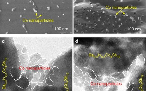 张清杰&杨继辉Nature:超顺磁增强材料热电性能!