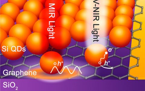 浙江大学ACS Nano:基于具有等离激元效应的掺杂硅量子点和石墨烯杂化结构的超宽光谱高灵敏光电探测器